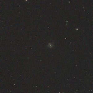 M 61