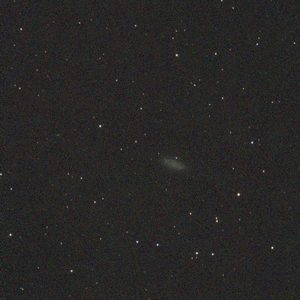 NGC 2976