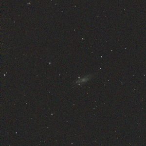 NGC 4559